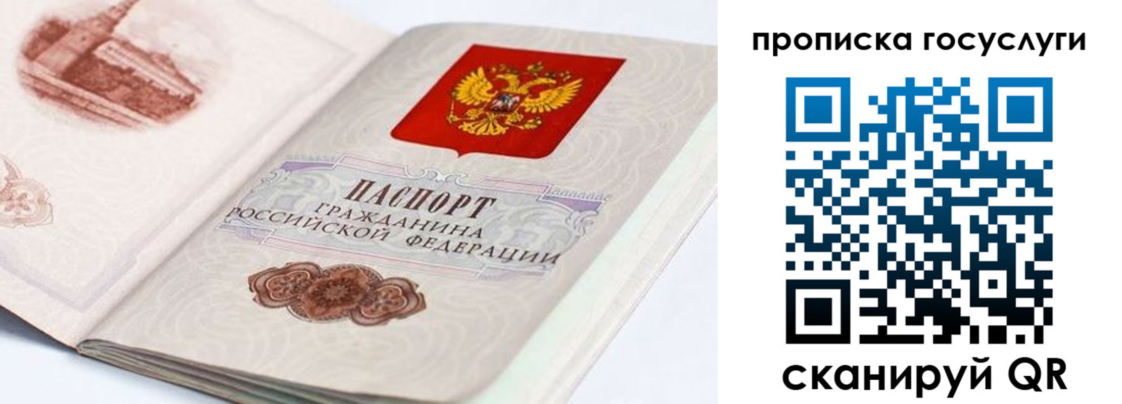 прописка гарантия в Сарапуле